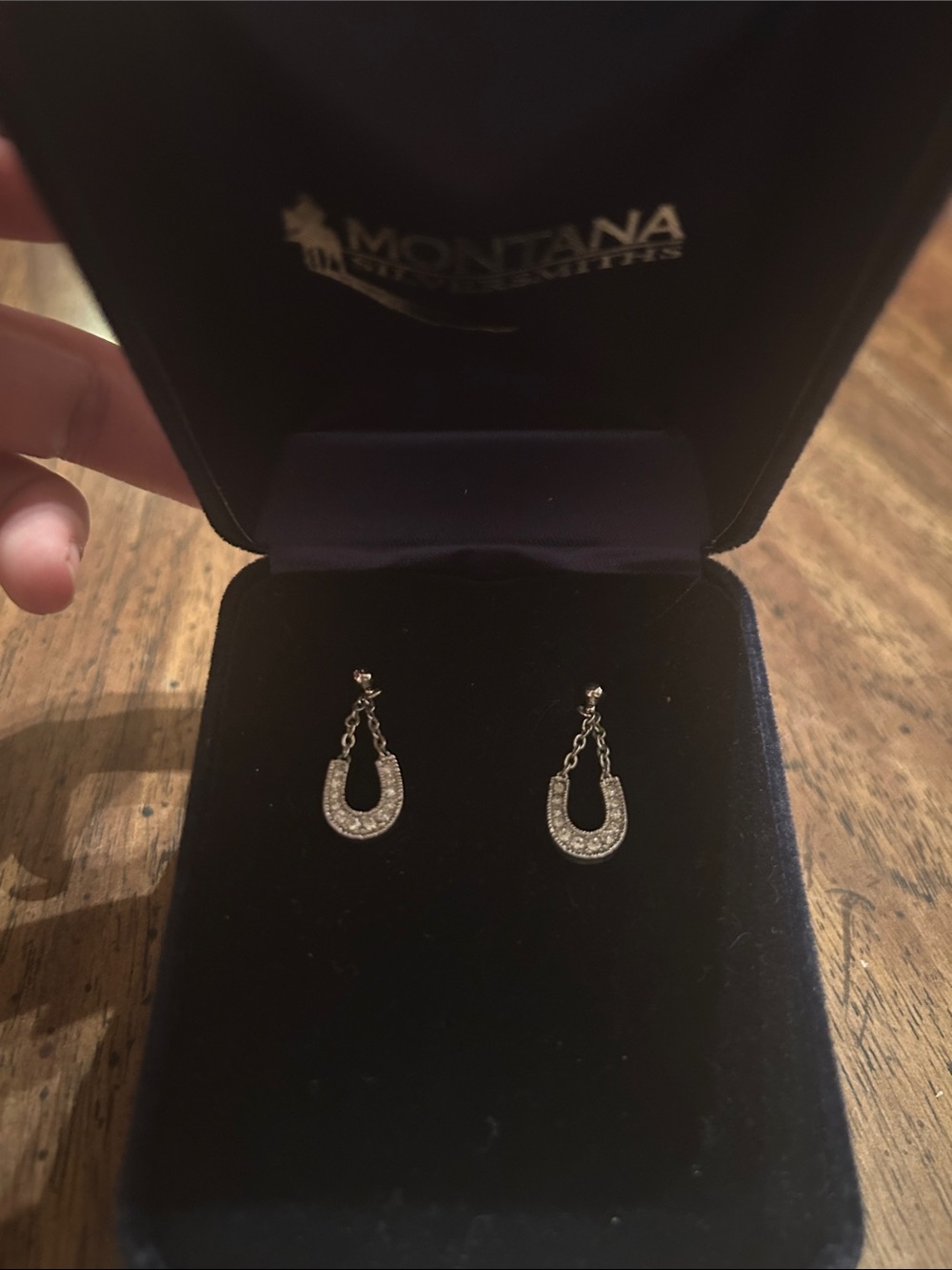 Montana Silversmith Dangly Horseshoe Earrings